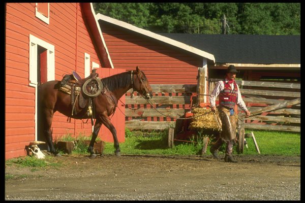 220000 Cowboy Heading To Work A4 Photo Print