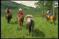220003 Packing In Salt And Minerals To High Country A4 Photo Print