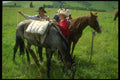 220004 Rigging Salt And Minerals On Packhorse A4 Photo Print