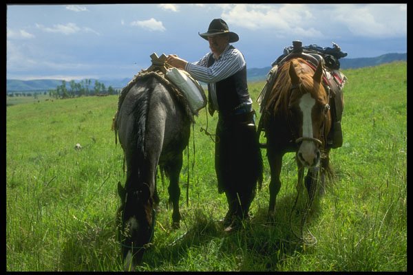 220005 Cowboy Preparing To Mount Horse With Packhorse In Tow A4 Photo Print