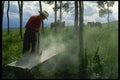 220006 Cowboy Filling Bin With Minerals For Cattle On Summer Range A4 Photo Print
