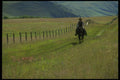 220012 Cowboy Riding Fence On Summer Range A4 Photo Print