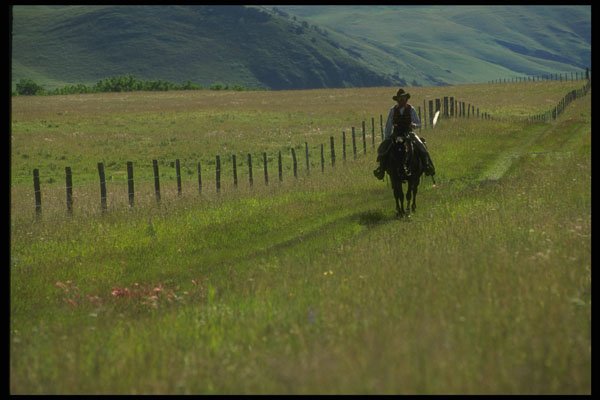 220012 Cowboy Riding Fence On Summer Range A4 Photo Print