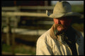 220017 Cowboy Checking Horses In Corral A4 Photo Print