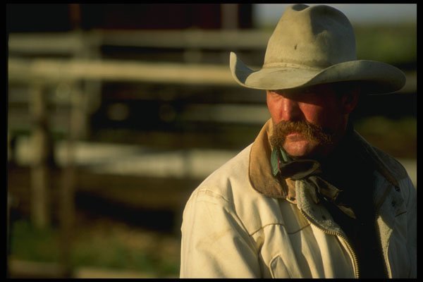 220017 Cowboy Checking Horses In Corral A4 Photo Print