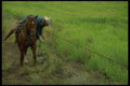 220025 Cowboy Fixing Fence A4 Photo Print