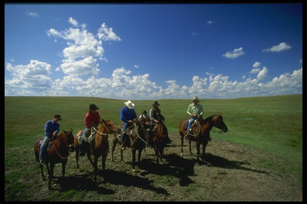 220027 Cowboys Taking A Break A4 Photo Print