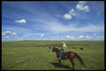 220030 Cowboys Moving Cattle To New Field A4 Photo Print