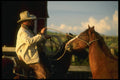 220032 Cowboy Breaking Colt A4 Photo Print