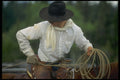 220039 Cowboy Holding Tension On Roped Calf A4 Photo Print