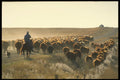 220054 Moving Herd To Winter Range A4 Photo Print