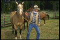 220059 Cowboy Selecting Horse For The Day's Work A4 Photo Print