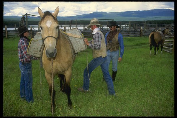 220062 Cowboy Making Sure Packhorse Is Properly Rigged A4 Photo Print