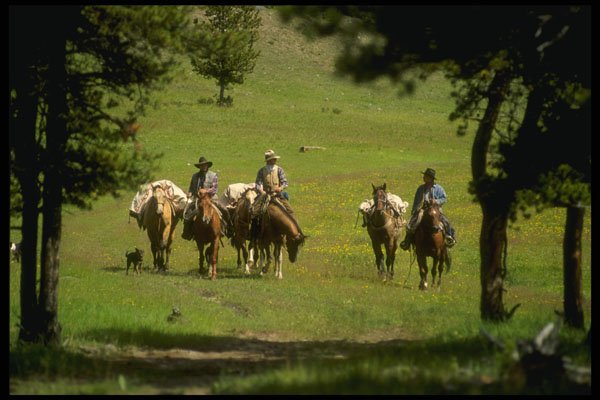 220063 Cowboys With Pack Horses Heading Into The High Country A4 Photo Print