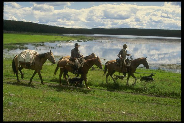 220064 Cowboys Looking For A Safe Crossing Point A4 Photo Print