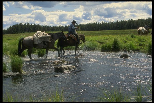220065 Cowboys Crossing Stream With Supplies In Tow A4 Photo Print