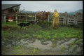 220067 Cowboy Preparing For A Wet Day On The Range A4 Photo Print