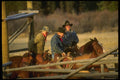 220071 Cowboys Checking Strategy Before Beginning To Wean Calves A4 Photo Print
