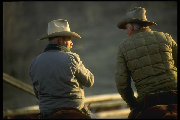 220073 Cowboys Discussing Progress Of The Day's Weaning A4 Photo Print