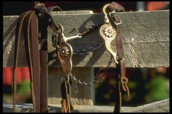 220082 Cowboy's Decorative, Silver Bit On Fence A4 Photo Print