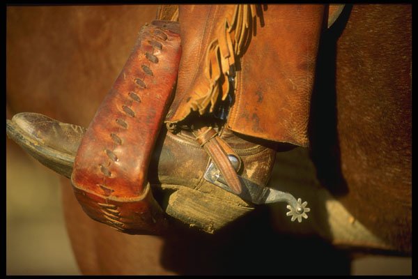 220084 Working Cowboy Boot With Spur In Stirrup A4 Photo Print