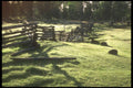 220098 Cedar Rail, snake Fence  A4 Photo Print