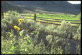 220099 Sage Brush And Cedar Rail Fence A4 Photo Print