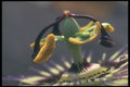 221000 Raised Detail A4 Photo Print