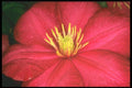 221028 Wide Open A4 Photo Print