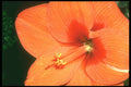 221065 Fond Memories A4 Photo Print