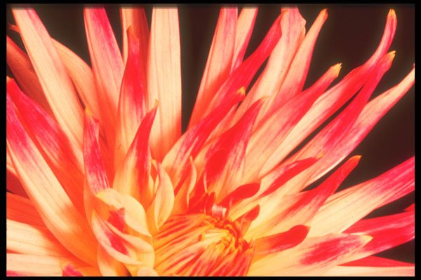 221080 Explosion A4 Photo Print