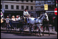 222005 Sightseeing Carriage, Vienna A4 Photo Print