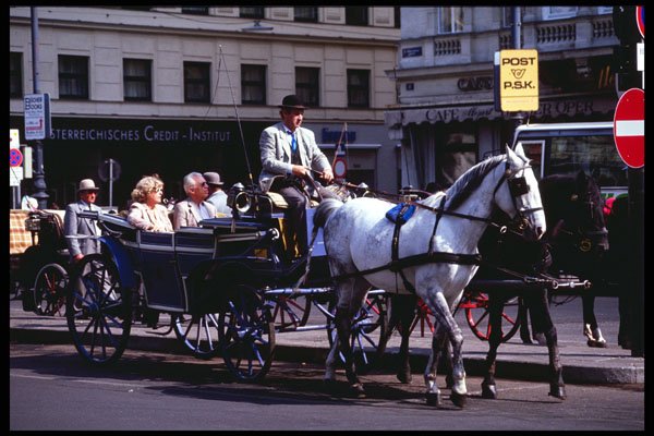 222005 Sightseeing Carriage, Vienna A4 Photo Print