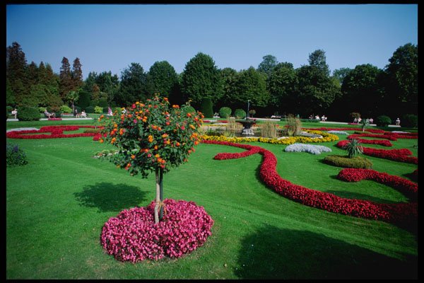 222045 Formal Gardens, The Palmery, Vienna A4 Photo Print