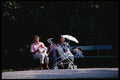 222046 Three Generations Share A Palmery Park Bench A4 Photo Print