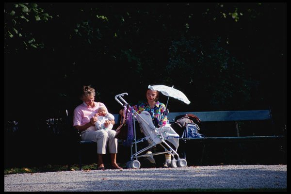 222046 Three Generations Share A Palmery Park Bench A4 Photo Print