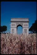 223012 Arc De Triomphe And Wheat Installation A4 Photo Print