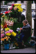223078 Flower Seller Near The Opera, Paris A4 Photo Print