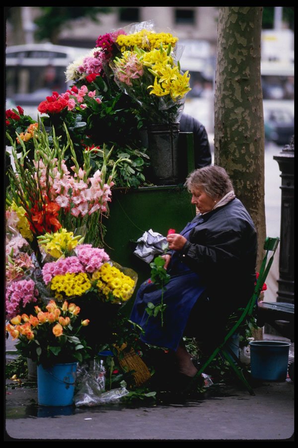 223078 Flower Seller Near The Opera, Paris A4 Photo Print