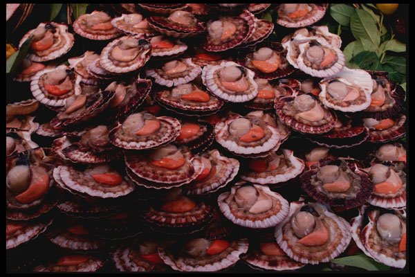 223079 Shellfish For Sale In The Sunday Market In Neuilly, Paris A4 Photo Print