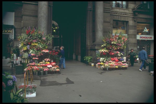224072 Flower Stall, Milan A4 Photo Print