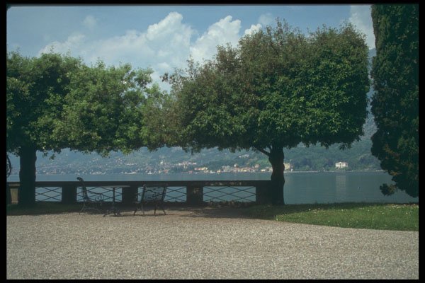 224079 Melzi Gardens, Bellagio, Lac Como A4 Photo Print