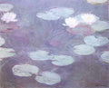 225 Pink Water Lilies 1897 1899 A4 Photo Print