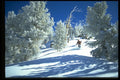 225024 Helicopter Skiing, Lake Tahoe, USA A4 Photo Print