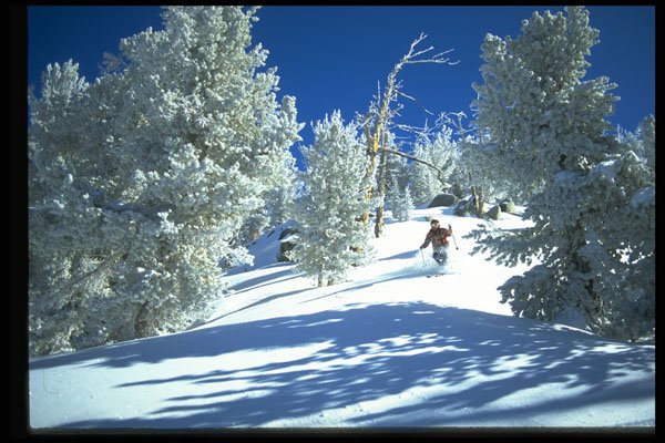225024 Helicopter Skiing, Lake Tahoe, USA A4 Photo Print