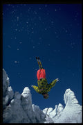 225039 Back Flip, Aerials, Hintertux, Austria A4 Photo Print