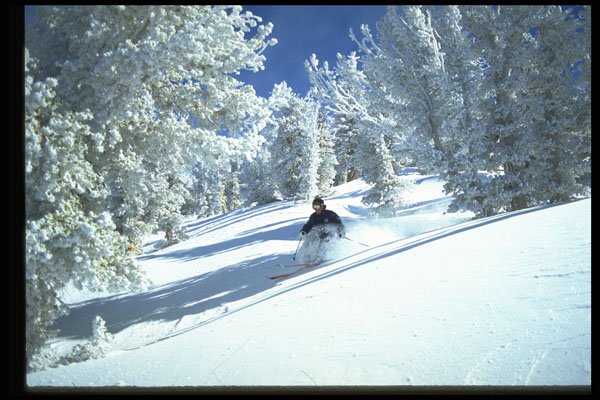 225047 Helicopter Skiing, Lake Tahoe, USA A4 Photo Print
