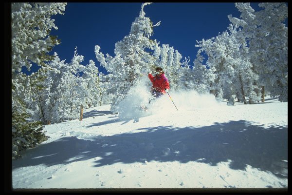 225050 Helicopter Skiing, Lake Tahoe, USA A4 Photo Print