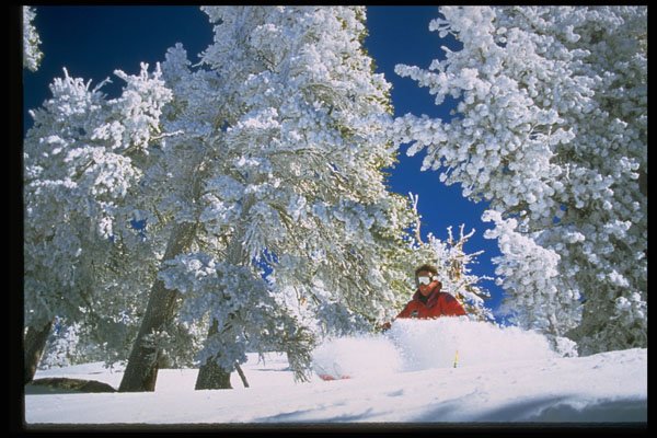 225055 Helicopter Skiing, Lake Tahoe, USA A4 Photo Print