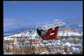 225083 Back Flip, Snowboard, Bryce Canyon, USA A4 Photo Print